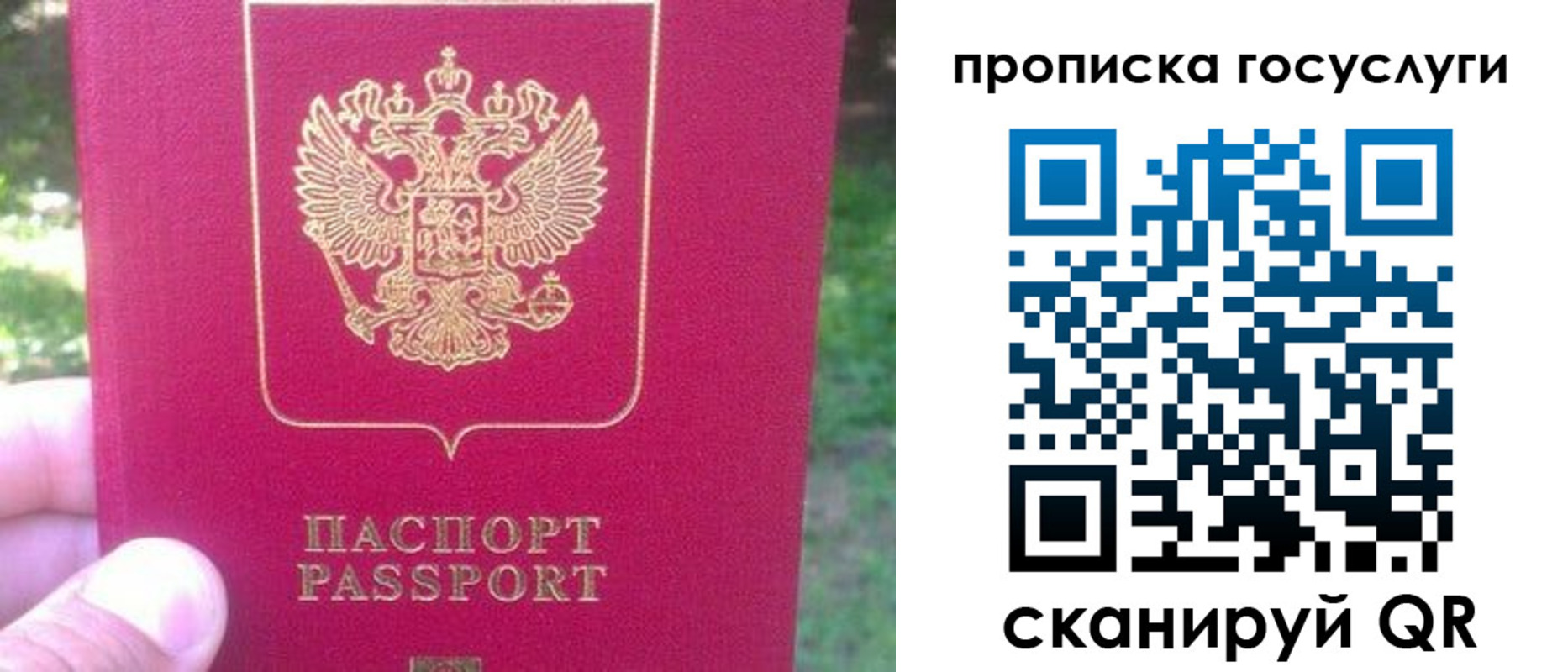 временная регистрация собственник в Дальнегорске